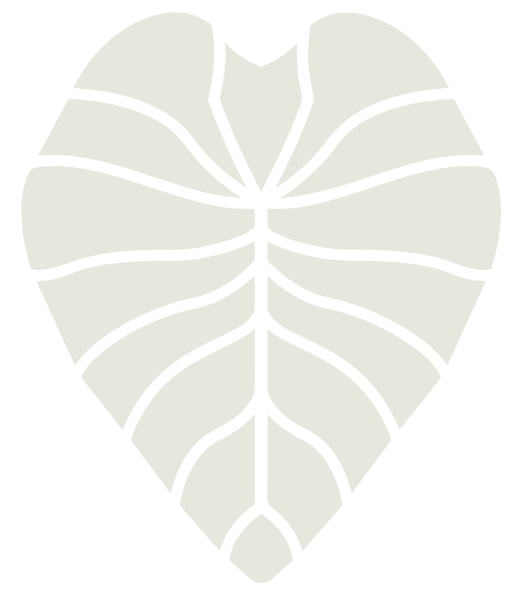 Buy Women s Ula Fala Necklace Samoan Jewelry